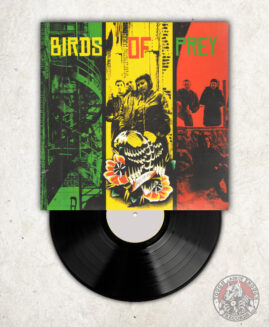 Birds Of Prey - s/t - LP