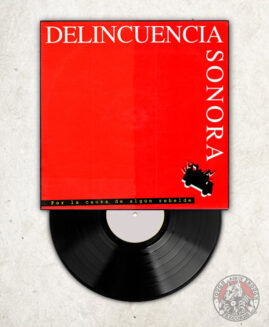 Delincuencia Sonora ‎- Por La Causa De Algún Rebelde - LP