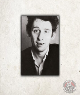 Una Furiosa Devoción - Shane MacGowan BOOK